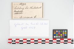Etikett zu Eisengürtelhaken (NHMW-PRAE-026792)